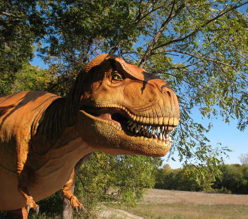 
Full-size animatronic dinosaurs are in the spotlight in the “Dinosaurs Live!” exhibit at...