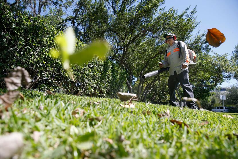 A worker from Precision Landscape Management blows away the leaves at entryway to a...