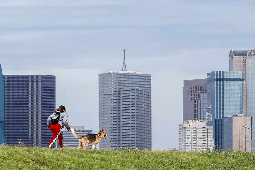 File photo of a woman running with her dog along the Trinity Levee Trail on Wednesday, Aug....