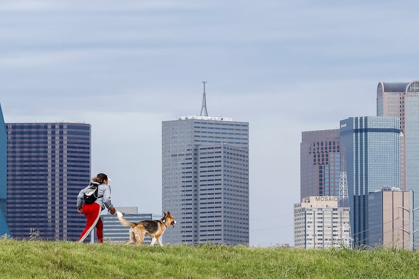A woman runs with her dog along the Trinity Levee Trail on Wednesday, Aug. 18, 2021, in...