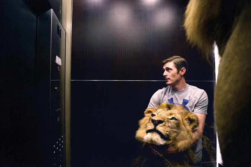 Conroe Taxidermy employee Brandon Casteel held a lion's head in an elevator while he...