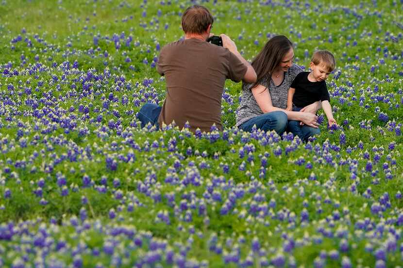 John Wallace photographs his wife Kim and their son Ryan, 3, in a field of bluebonnets near...
