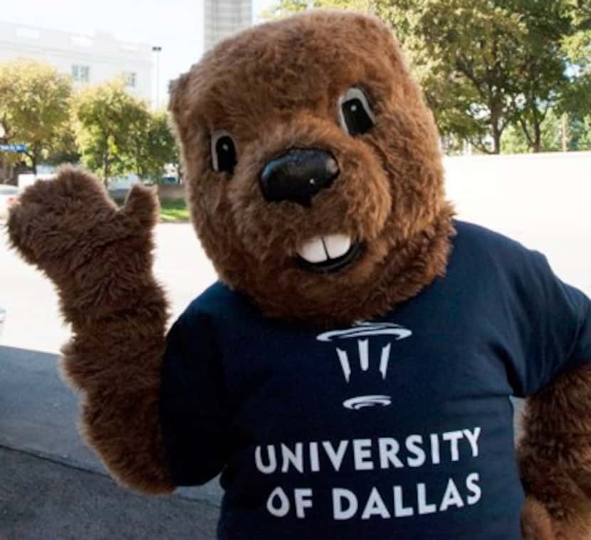 
The groundhog is the unofficial mascot of the University of Dallas.
