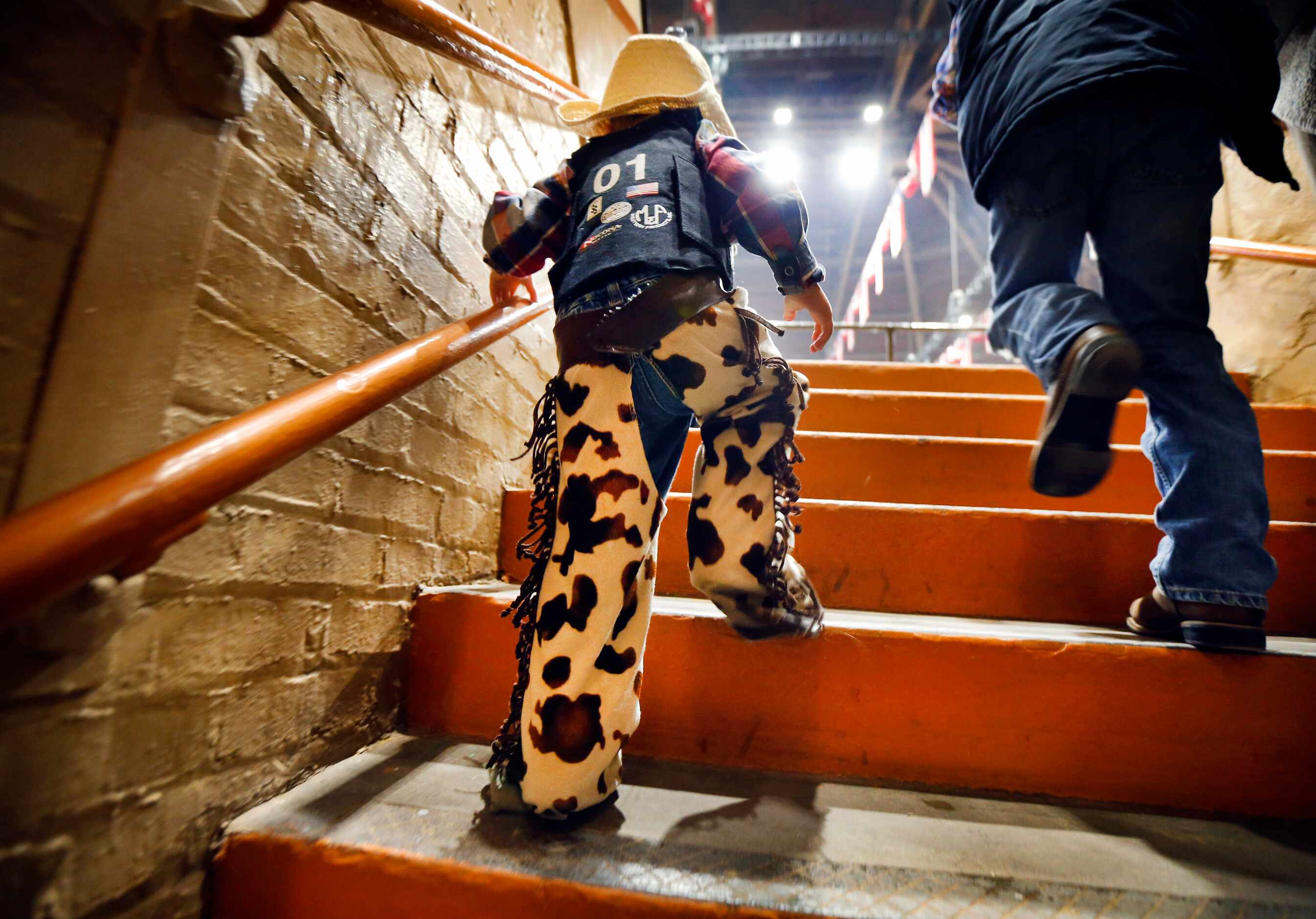 In his chaps, vest and cowboy hat, 2-year-old Austin Curtis of Fort Worth climbs the steep,...