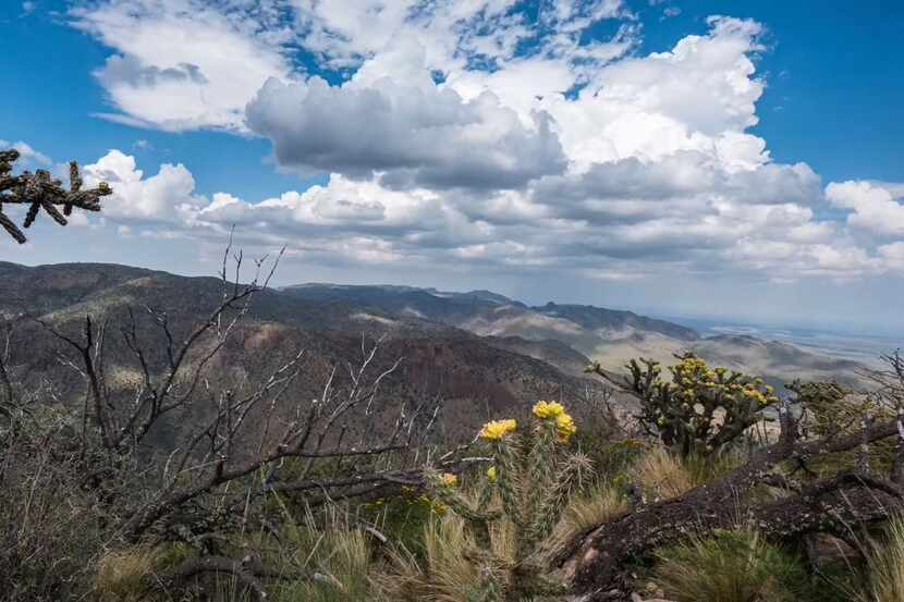 The 7,700-acre Fox Canyon Ranch is in the Davis Mountains of West Texas.