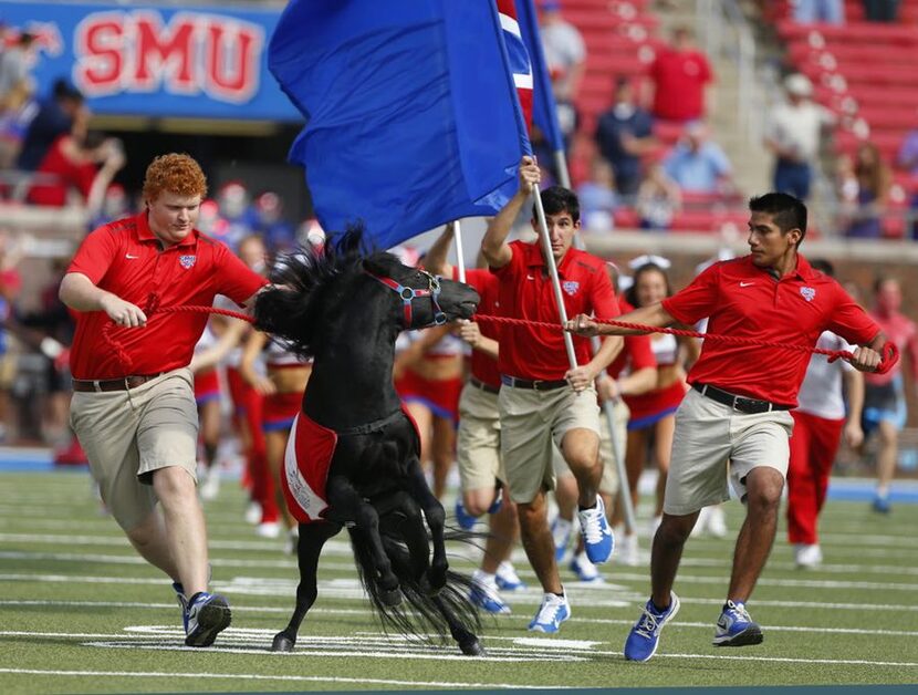 SMU mascot Peruna the pony jumps before SMU plays TCU at Ford Stadium in Dallas, TX Sept....