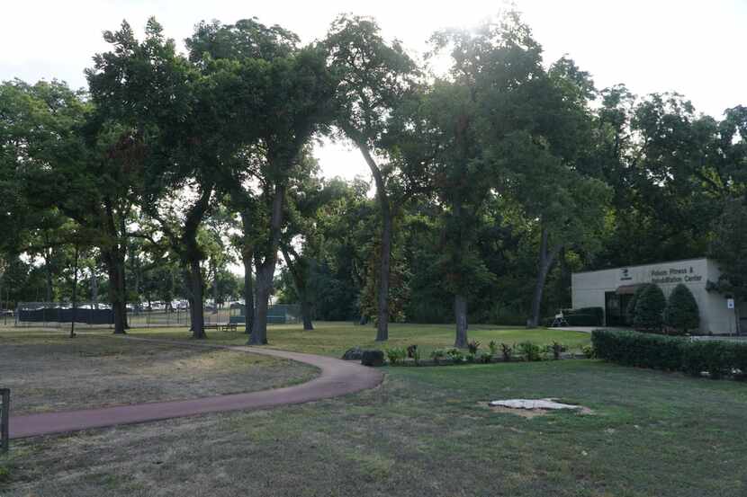 A portion of the pecan grove and green space on the northern edge of Methodist Dallas...