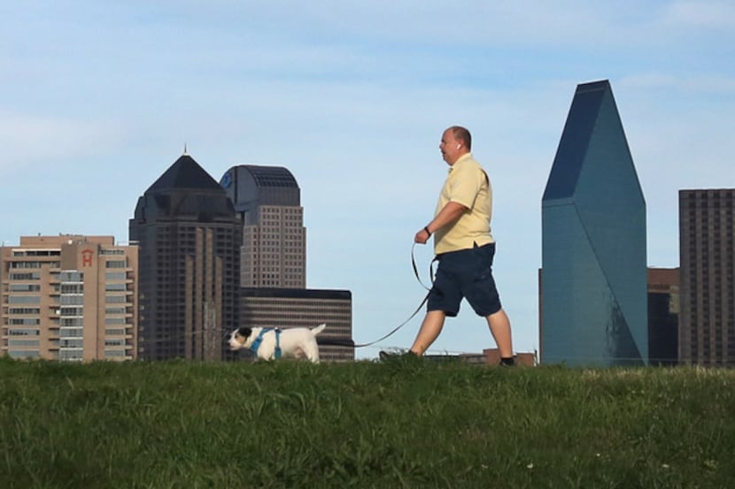 A man and dog go for a walk on the Trinity River levee in West Dallas, with the downtown...
