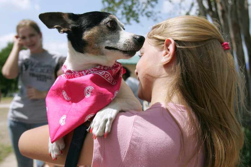 Bark for Life, a dog-friendly festival celebrating cancer survivors and caregivers, will be...