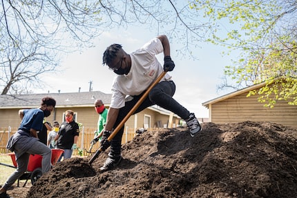 Community members work together to farm on the land of Neyssa Shockley’s families land in...