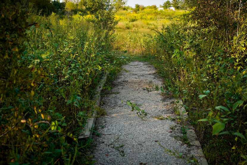 A pathway on the Primitive Pond Trail cuts through grass at the Trinity River Audubon Center.
