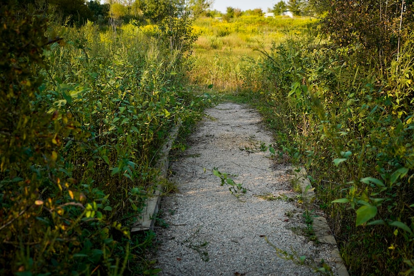 A pathway on the Primitive Pond Trail cuts through grass at the Trinity River Audubon Center.