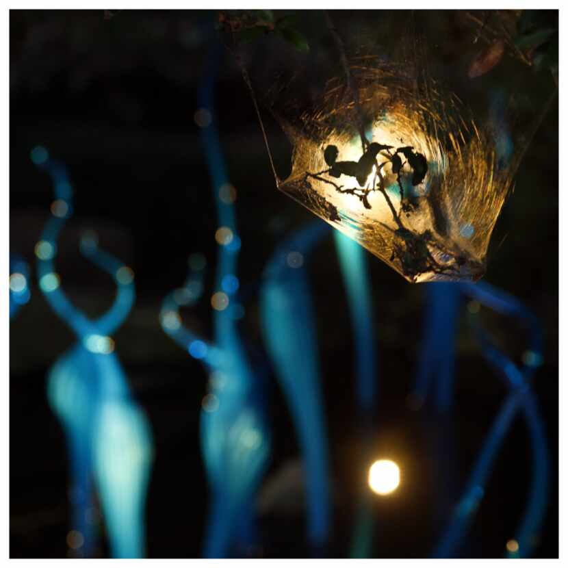 A spider web is seen before Chihuly's illuminated Blue Marlins during Chihuly Nights at the...