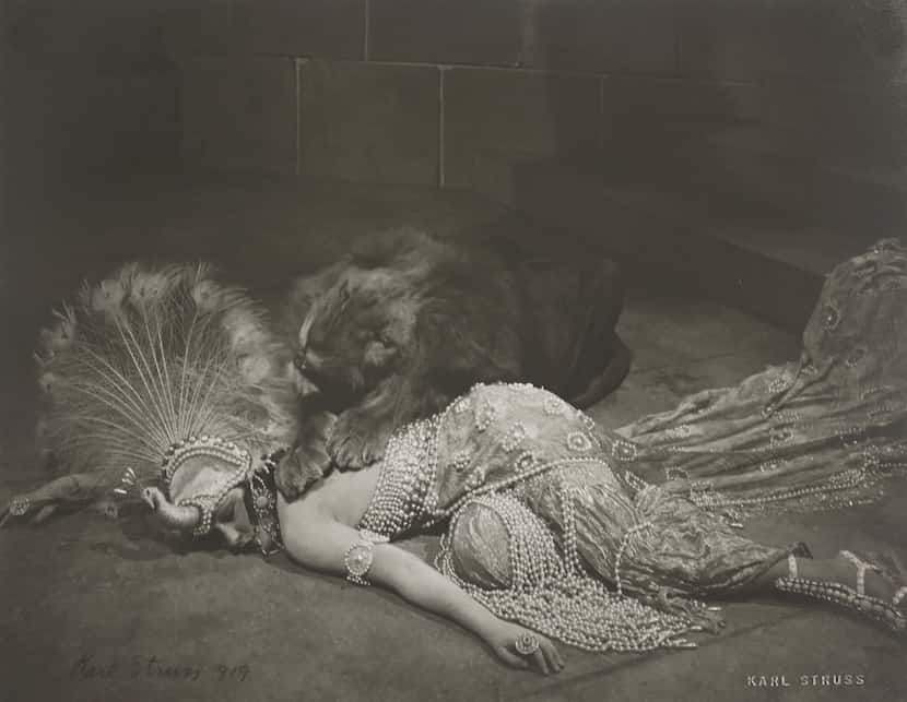 Karl Struss captured striking imagery of actress Gloria Swanson with a live lion in...