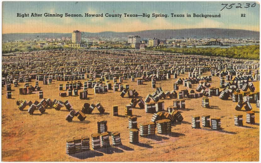 A vintage post card of Big Spring shows baled cotton with the city in the background.
