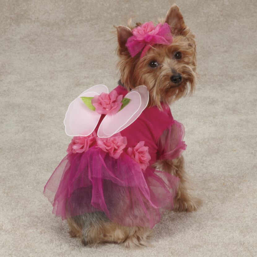 A pretty pink pullover from PetEdge transforms a pup into a flower fairy with a matching...