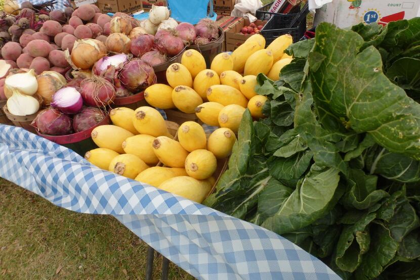 The yellow squash, cabbage and more come from Fisher Family Farm and Ranch in Fruitvale at...
