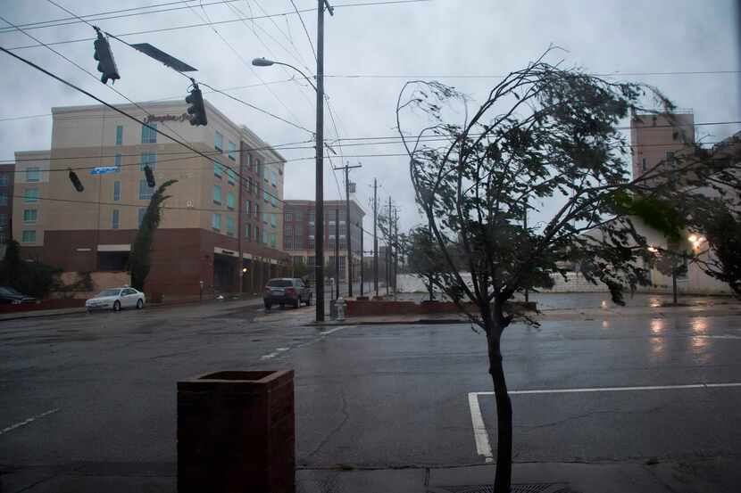 A tree in Wilmington, North Carolina, bends under heavy rain and wind during Hurricane...