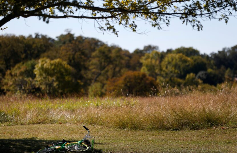 A LimeBike rental lies on its side near Winfrey Point near White Rock Lake in Dallas on Oct....