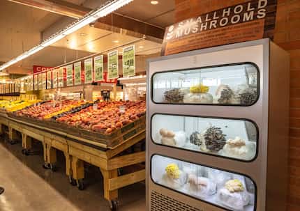 Mushrooms are being growing in the reopened Central Market. It's just one of the new...