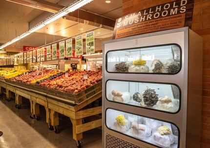 Mushrooms are being growing in the reopened Central Market. It's just one of the new...