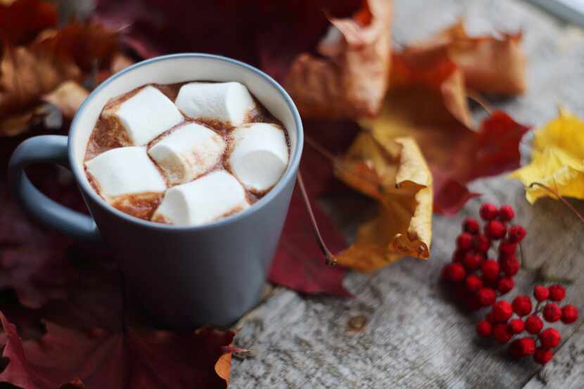 A hot cup of cocoa and beautiful fall leaves are a few of Lorrie's favorite things about the...