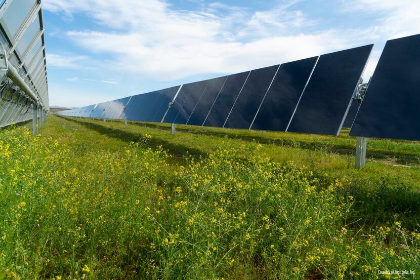 Leeward Renewable Energy, based in Dallas, has agreed to buy 10 GW of solar development...