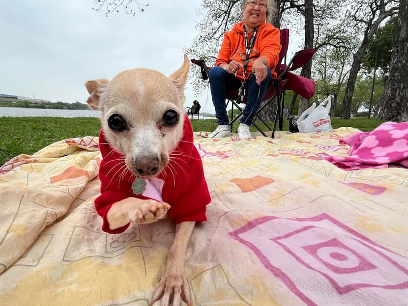 Melissa Gaona and her dog Ugly wait for the eclipse at Bachman Lake on April 8, 2024, in...