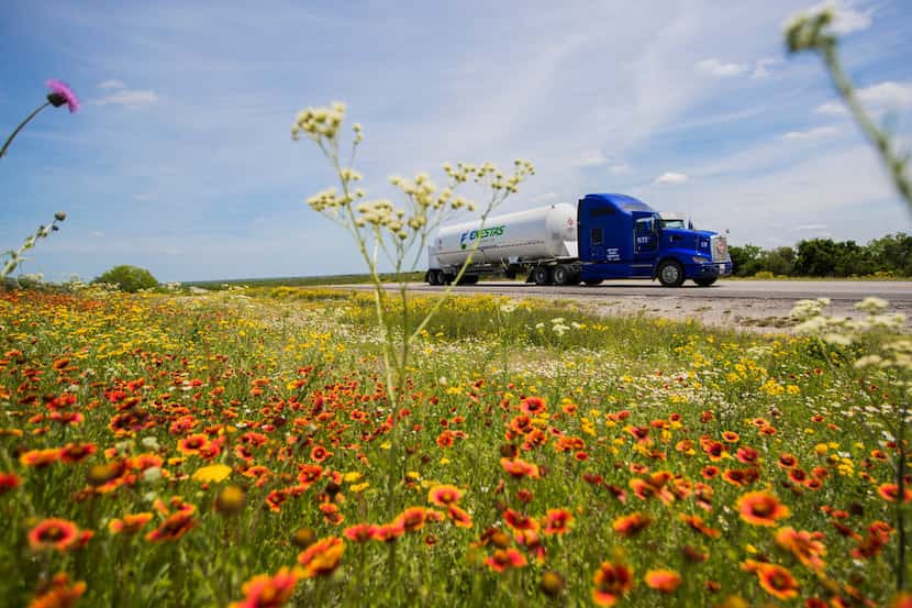 Liquefied natural gas is being delivered by an 18-wheelers from George West, Texas, about...