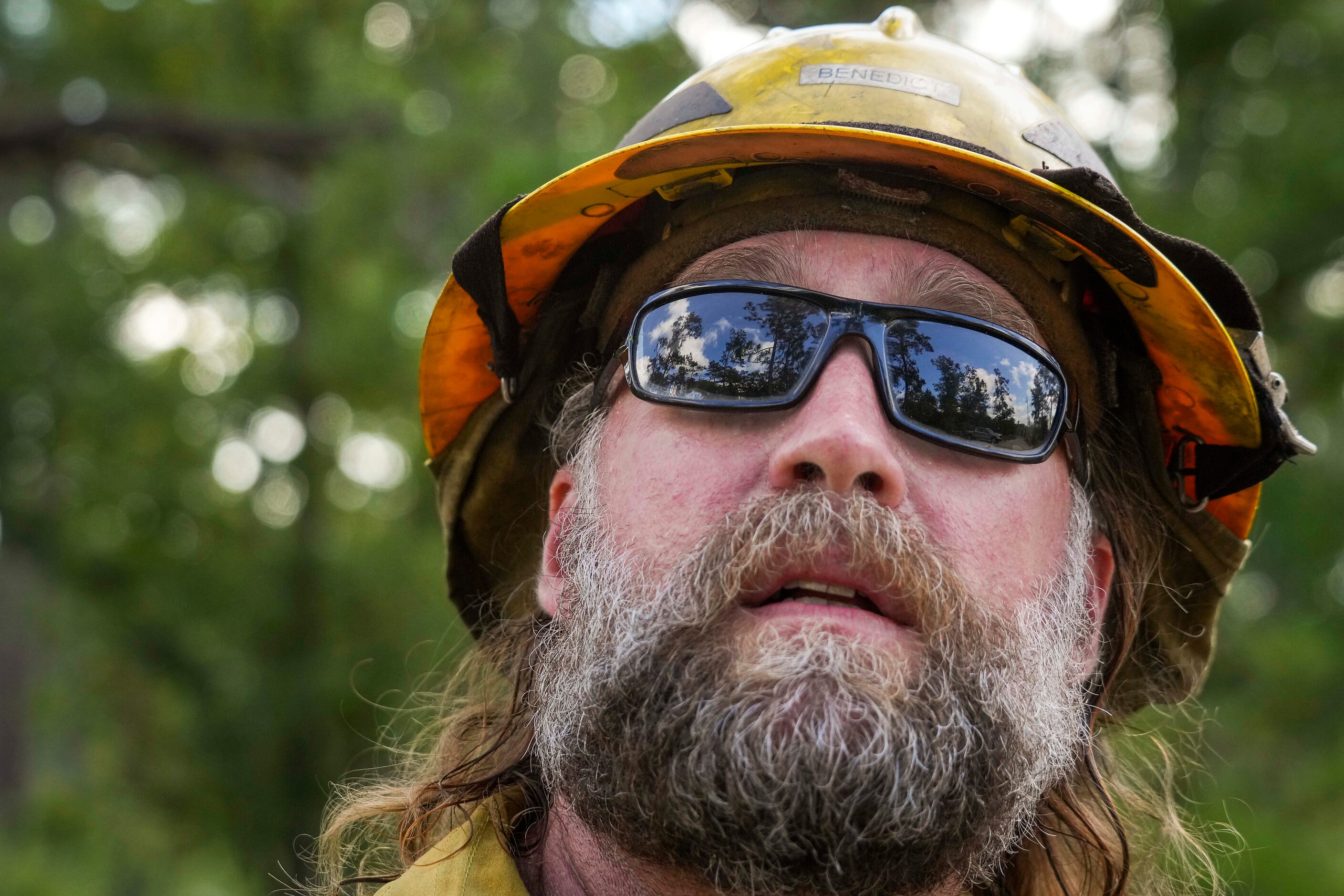 Shawn Benedict, East Texas Forest Preserves Manager for The Nature Conservancy, looks up...