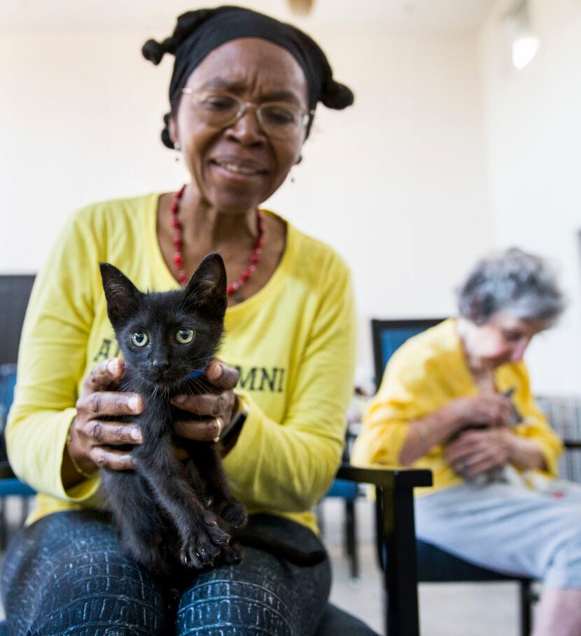 Constance Uzor (left) and Dottie Lemmond held kittens before the yoga class. The city's...