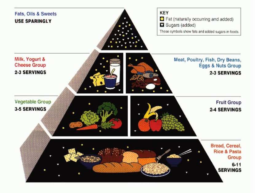 
The Food Guide Pyramid introduced in 1992 emphasized a "total diet approach."
