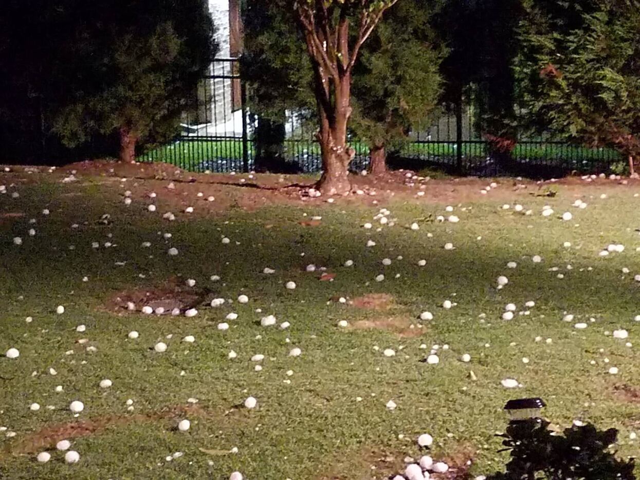 Large hailstones covered the back yard of a home in Prosper after severe storms raked the...