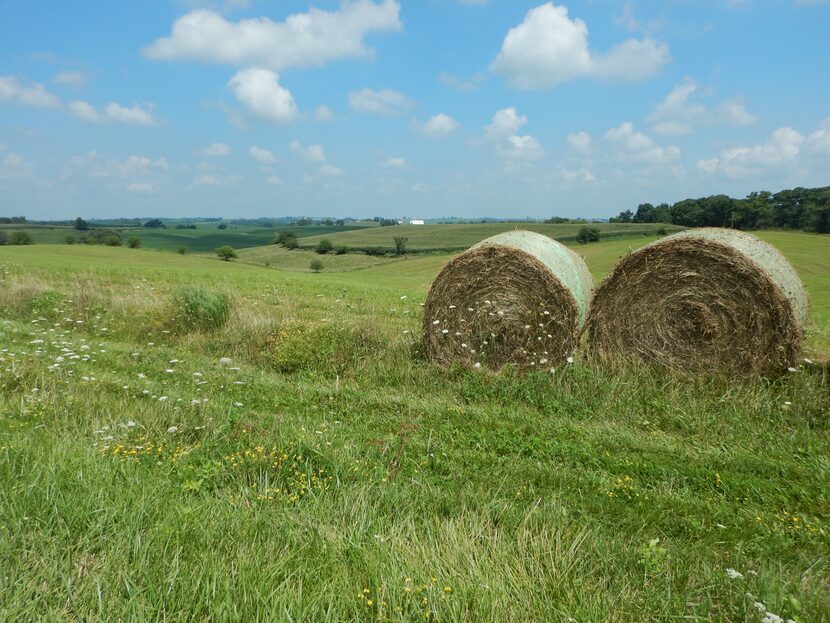 Scenery on the Grant Wood Scenic Byway.