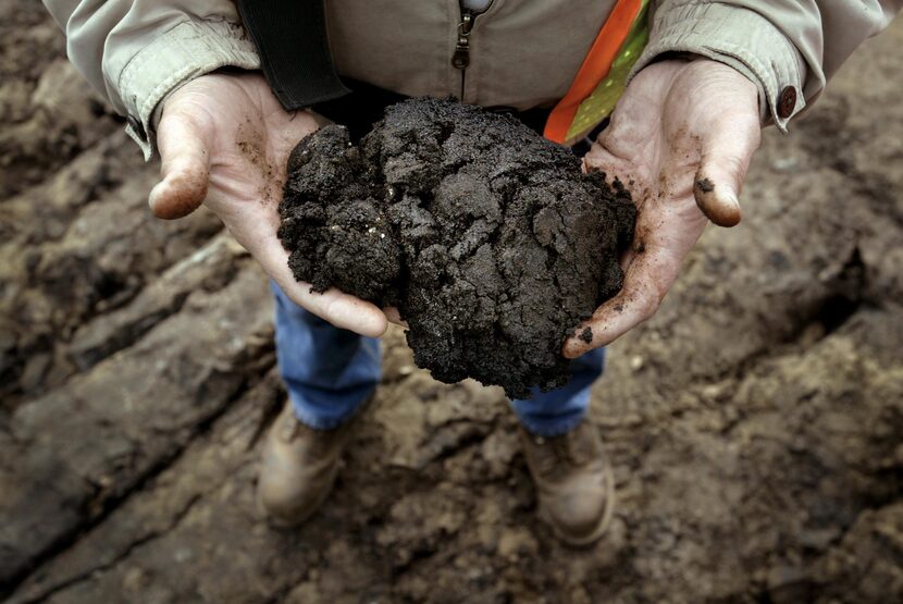 2005 FILE PHOTO -- A sample of the tar-like substance from a Syncrude Canada Ltd. mine in...