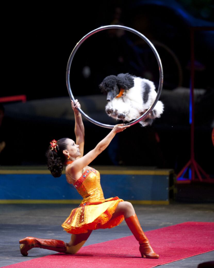 Ringling Bros. and Barnum & Bailey Circus? Dragons comes to American Airlines Center, July...
