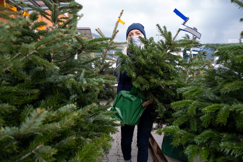 Grapevine is giving away Christmas trees on Dec. 23. They'll be available on a first-come,...