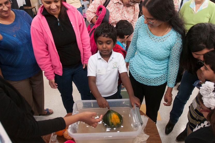 Ronald Larson, 6, demonstrates his science project on how some objects float while other...