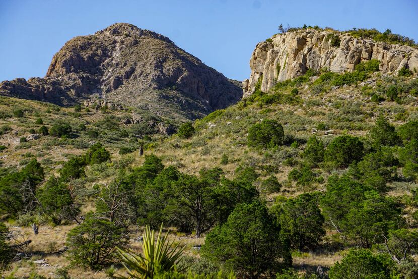 Boss Ranch in Brewster County includes 5,000-foot peaks and desert plains.
