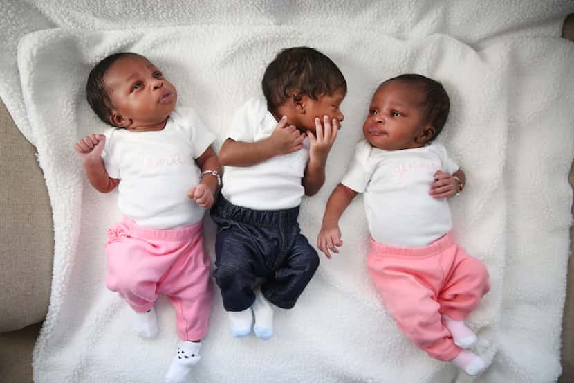 Gregory and Kisha Hill's newborn triplets (from left) Lena, Gregory and Gemma at their home...