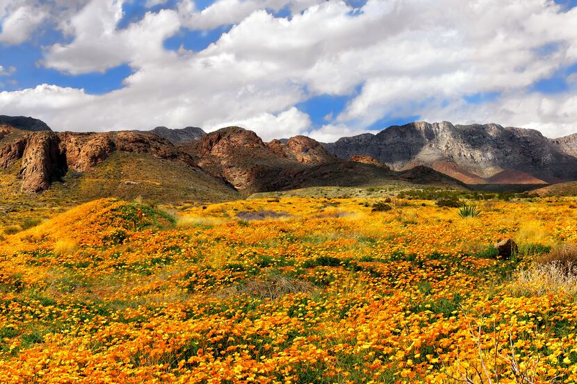 A swath of land in West Texas called Castner Range is designated a new national monument....