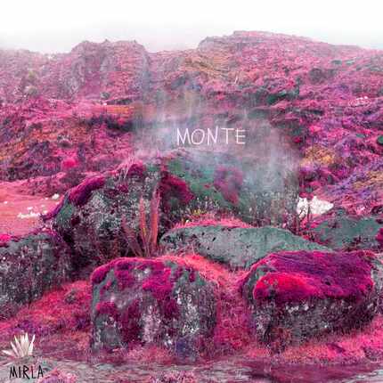 En esta imagen proporcionada por Monte, el proyecto solista de Simón Mejía de Bomba Estéreo,...