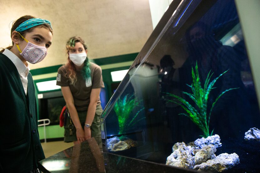 Margeaux Maurer (left), a fifth-grade student at The Hockaday School, and Laura Gratke,...