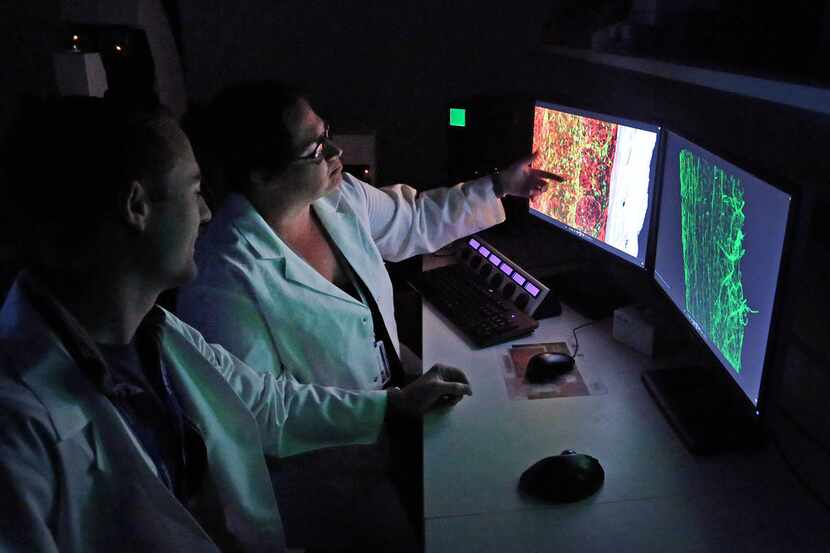 Postdoctoral researchers Dr. Andrew DeVilbiss, left, and Dr. Malea Murphy analyze...