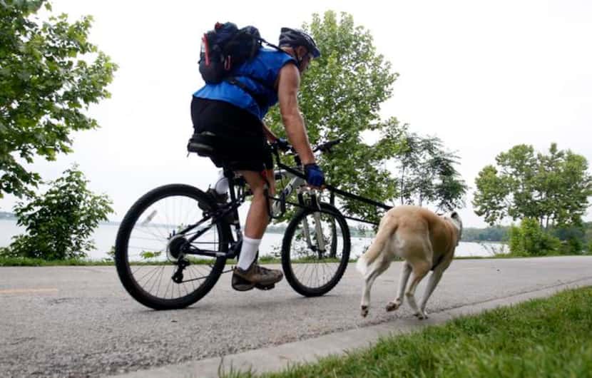 White Rock Lake is among the busiest of the city's trail network and one of five trails that...