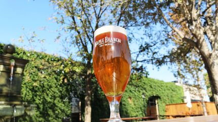 Maple Branch Craft Brewery in Fort Worth has a large beer garden made for, well, drinking beer.