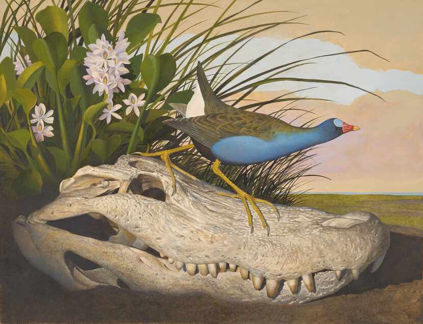 Scott and Stuart Gentlings'  Purple Gallinule is headed to the Amon Carter this fall. 