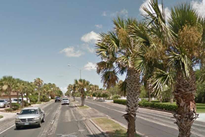 Palm trees line Ocean Drive in Corpus Christi.
