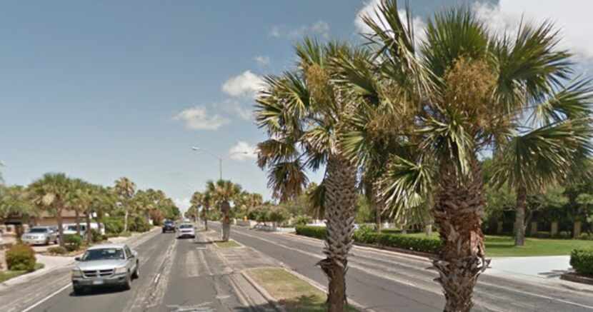 Palm trees line Ocean Drive in Corpus Christi. (Google Maps)
