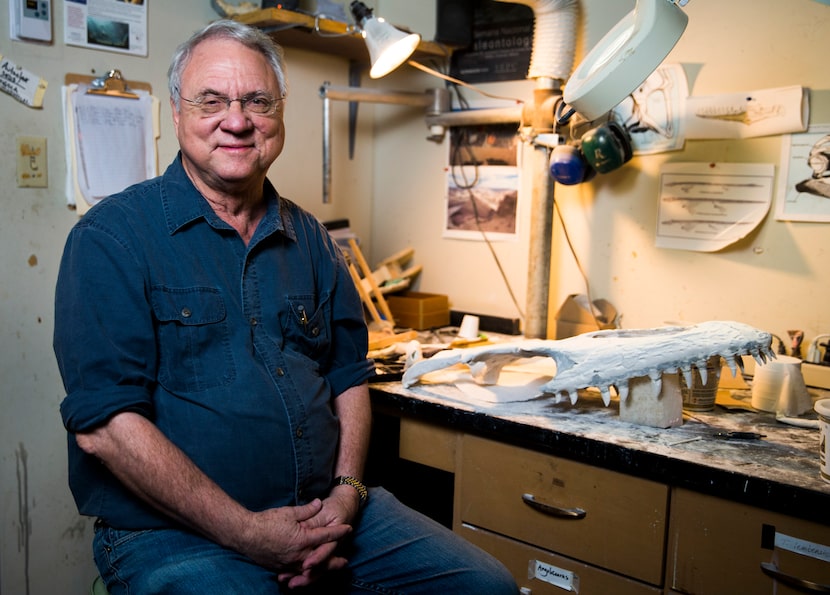 Louis Jacobs, a professor of paleontology at SMU, prepared Angolan mosasaurs for an exhibit...